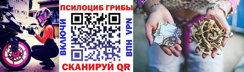 наркошоп  Алагир  Псилоцибиновые грибы Cubensis 